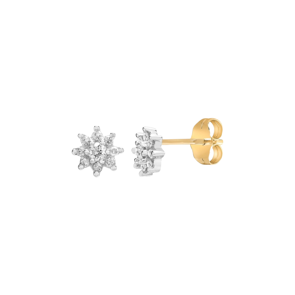 9ct Gold Diamond Cluster Stud Earrings - 25pt Diamond Daniel Gleeson Jewellers, Gleeson Jeweller, Daniel Gleeson Jewellery, Gleesons Jewellers